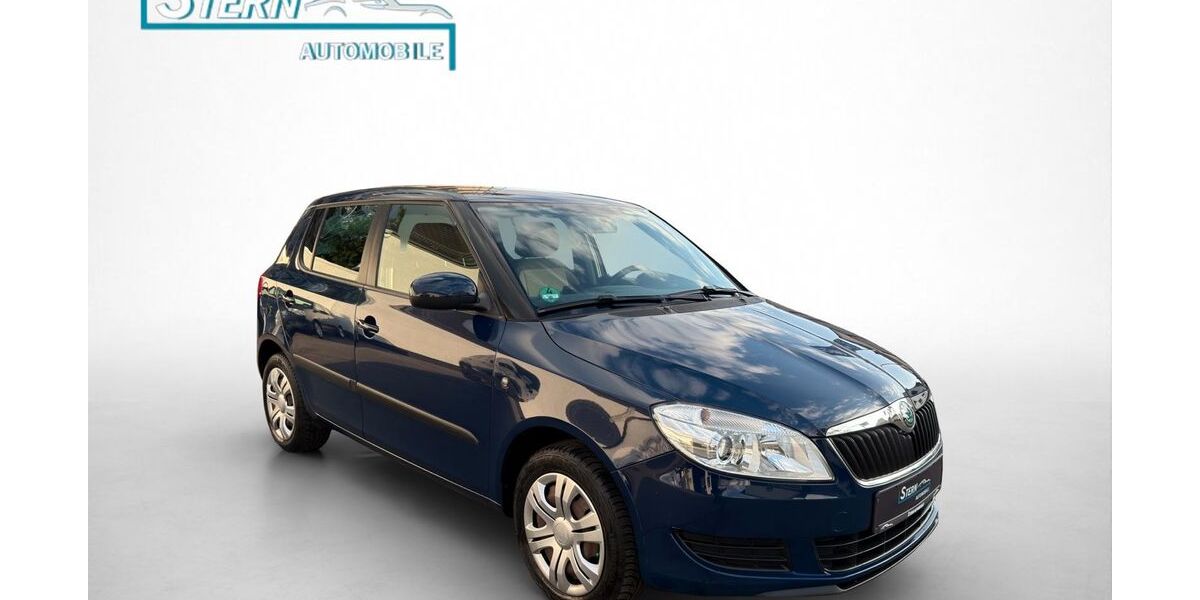 Skoda Fabia 114.000 km 4.490 &euro; Lampertheim 68623