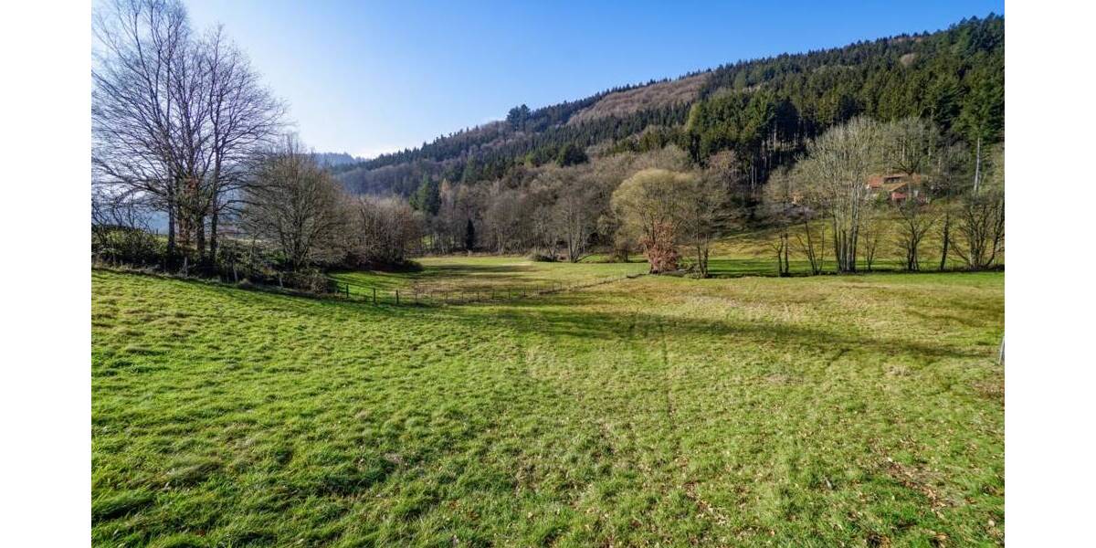 Gewerbeobjekt Wald-Michelbach / Unter-Schönmattenwag Unter-Schönmattenwag - 250.000&euro; | Angebot:25660930