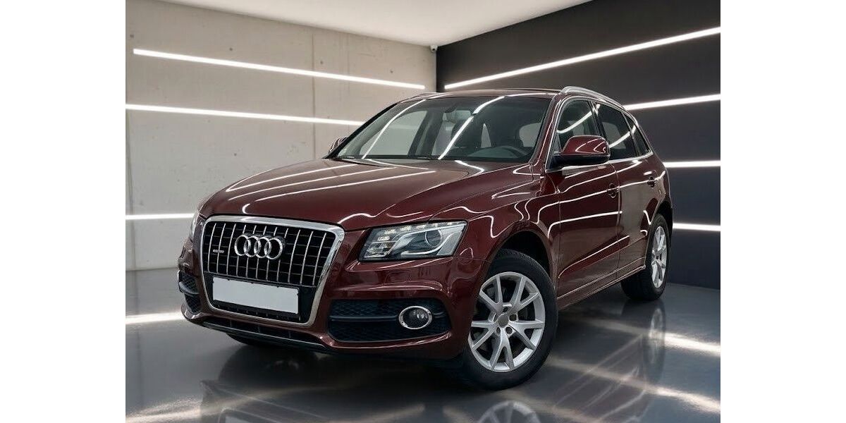 Audi Q5 181.800 km 12.990 &euro; Frankenthal 67227