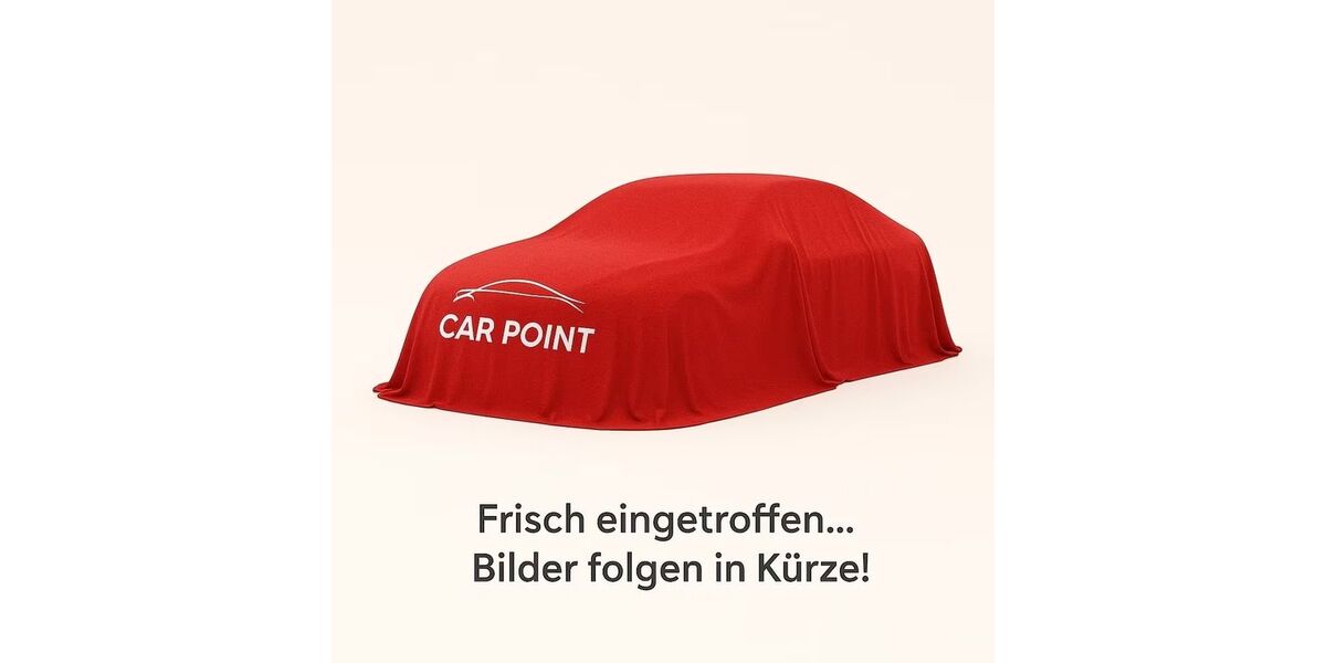 VW Polo 135.600 km 10.990 &euro; Worms 67547