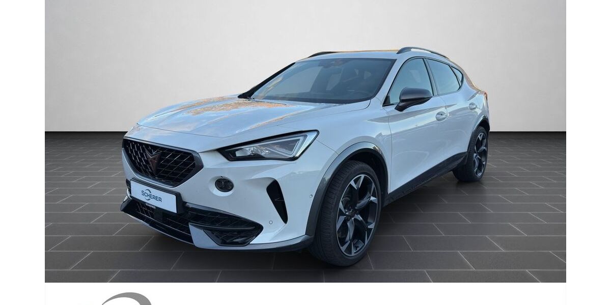 Cupra Formentor 29.810 km 29.790 &euro; Ludwigshafen 67063