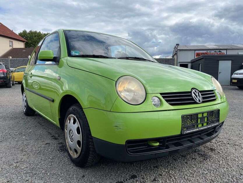 Lupo