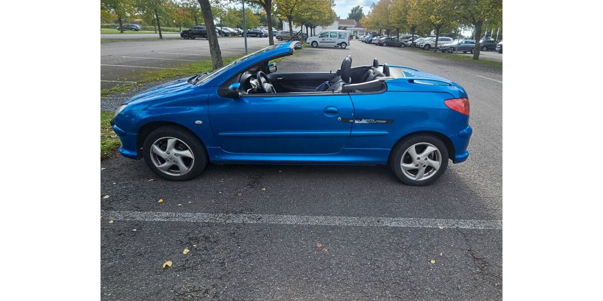 Peugeot 206 132.000 km 1.800 &euro; Worms 67547