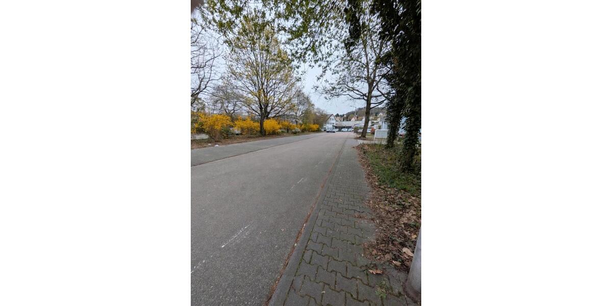 Gewerbeobjekt Weinheim - 1.100&euro; | Angebot:25313096