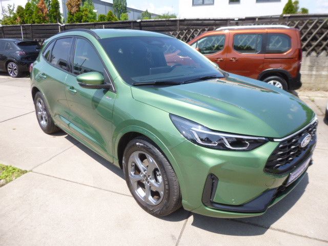Kuga