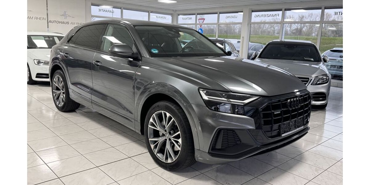 Audi Q8 199.000 km 39.990 &euro; Speyer 67346