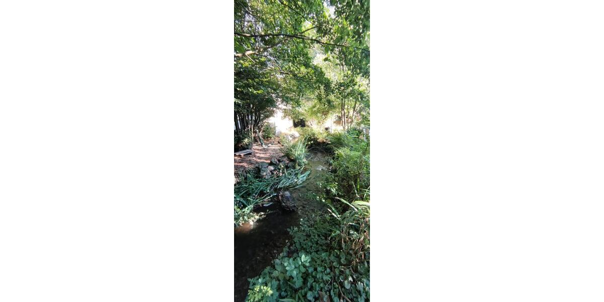 Mehrfamilienhaus, Wohnhaus Wald-Michelbach Michelbach - 399.000&euro; | Angebot:26270556