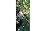 Mehrfamilienhaus, Wohnhaus Wald-Michelbach Michelbach - 399.000&euro; | Angebot:26270556