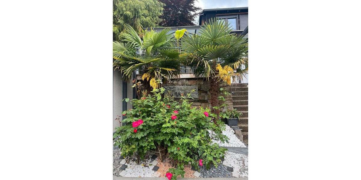 Erdgeschoßwohnung Heidelberg Peterstal - 3 Zimmer, 52 m&sup2;, 800&euro; | Angebot:24840667