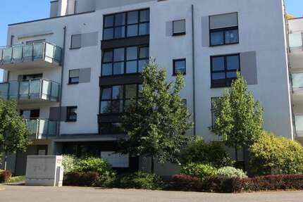 Wohnung zum Kaufen in Ludwigshafen 455.000 € 107 m² 3 zimmer