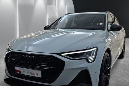 Audi e-tron 30.015 km 58.990 &euro; Speyer 67346