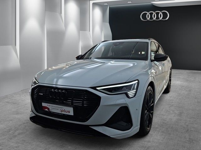 Audi e-tron 30.015 km 58.990 &euro; Speyer 67346
