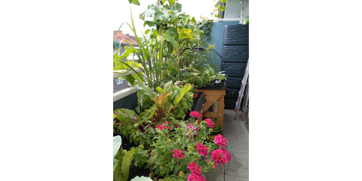 Etagenwohnung Ludwigshafen am Rhein Parkinsel - 3 Zimmer, 69 m&sup2;, 199.000&euro; | Angebot:25636827