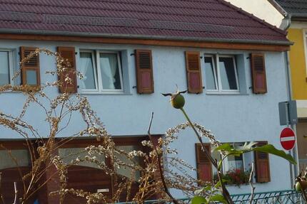 Haus Groß-Rohrheim Rohrheim - 3 Zimmer, 95 m&sup2;, 1.100&euro; | Angebot:27620807