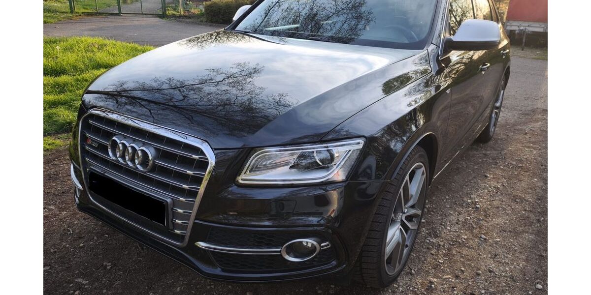 Audi SQ5 220.800 km 19.900 &euro; Brühl 68782
