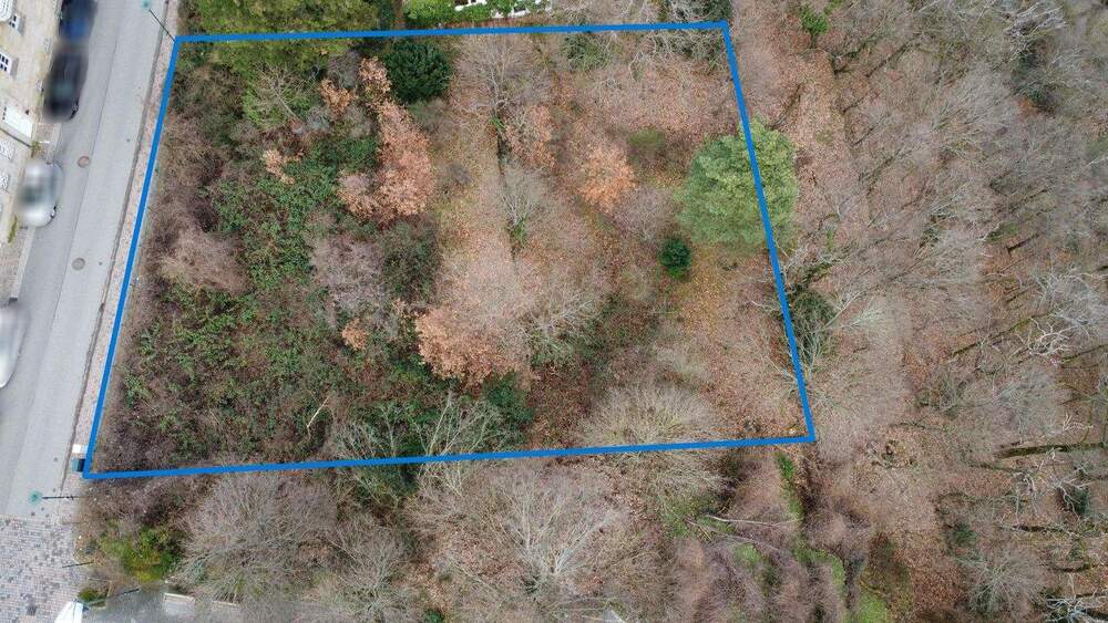 Grundstück Bad Dürkheim - 625.000&euro; | Angebot:25251574