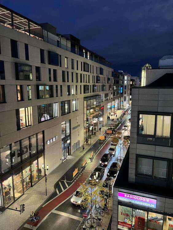 Wohnung zum Mieten in Mannheim 2.190 € 146 m²
