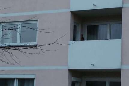 Wohnung Weinheim - 1 Zimmer, 39 m&sup2;, 135.500&euro; | Angebot:26382063