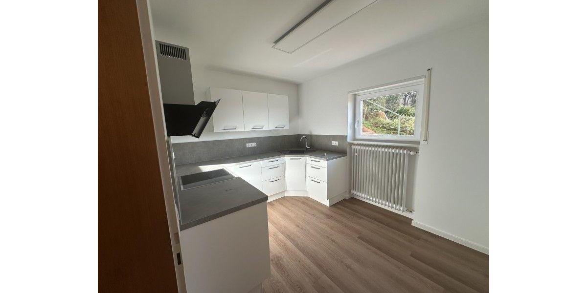 Leimen: 3 ZKB hoch am Hang, Terrasse u. Garage, renoviert 3 zimmer