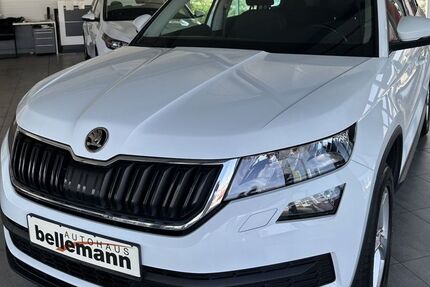Skoda Kodiaq 76.600 km 22.500 &euro; St. Leon-Rot OT Rot 68789