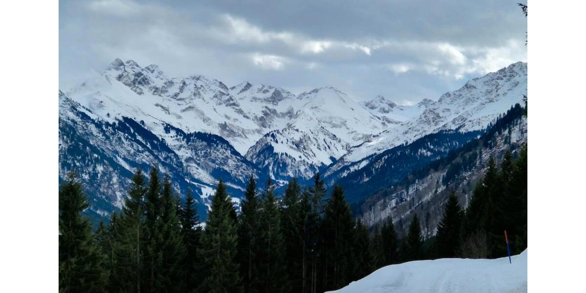 Etagenwohnung Speyer - 3 Zimmer, 80 m&sup2;, 1.100&euro; | Angebot:26317664