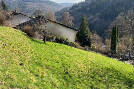 Grundstück Schönau - 99.800&euro; | Angebot:25625729