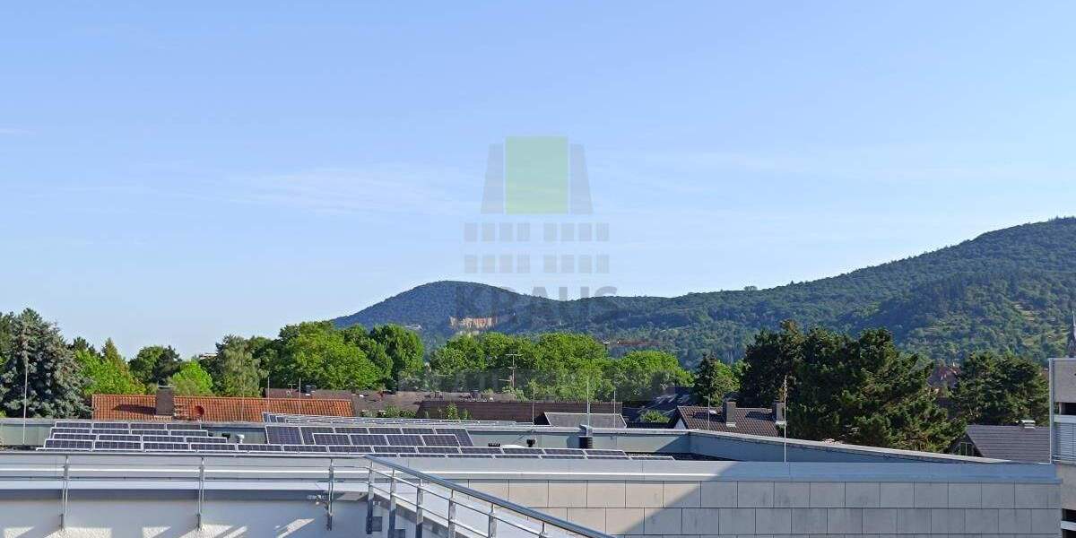 Etagenwohnung Heidelberg Handschuhsheim - 3 Zimmer, 163 m&sup2;, 3.435&euro; | Angebot:21442846