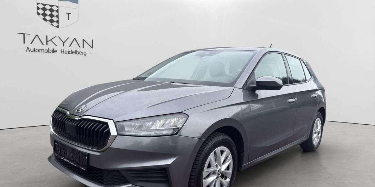 Skoda Fabia 40.000 km 13.990 &euro; Edingen-Neckarhausen 68535