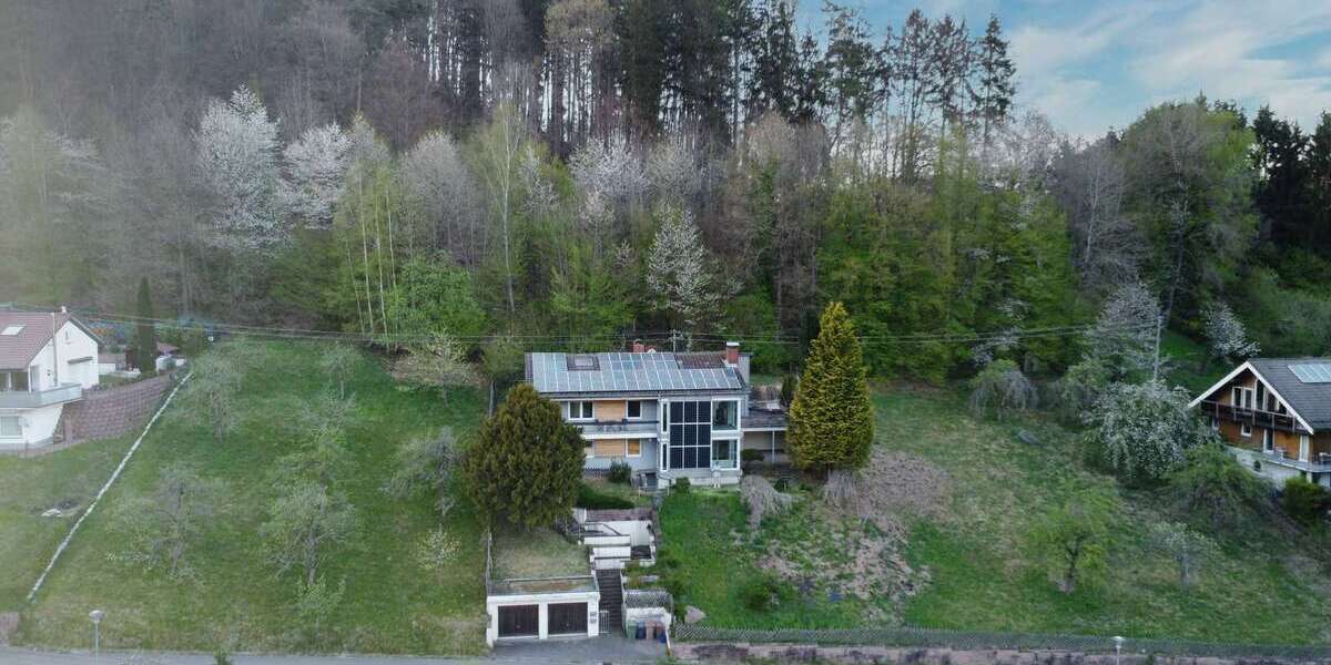 Panorama-ZFH an den Toren Hirschhorns Energieeffizient & am Waldrand Garten, Balkone & Terrassen 7 zimmer