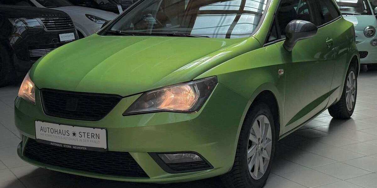 Seat Ibiza 215.500 km 3.990 &euro; Mutterstadt 67112