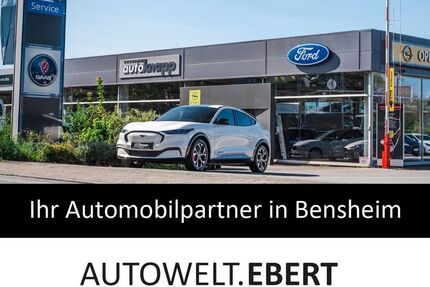 Opel Grandland (X) 74.800 km 18.690 &euro; Bensheim 64625