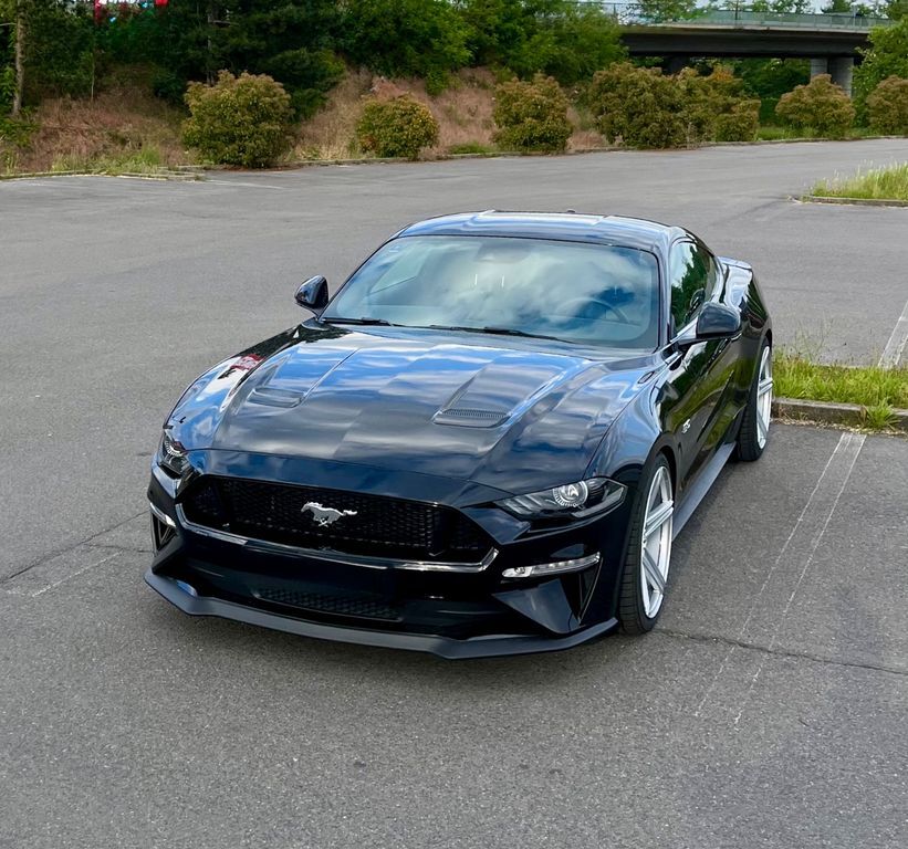 Mustang