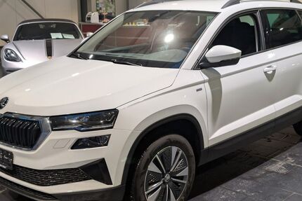 Skoda Karoq 119.000 km 21.900 &euro; Weinheim 69469