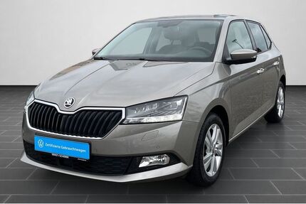 Skoda Fabia 88.300 km 13.680 € Mannheim 68167