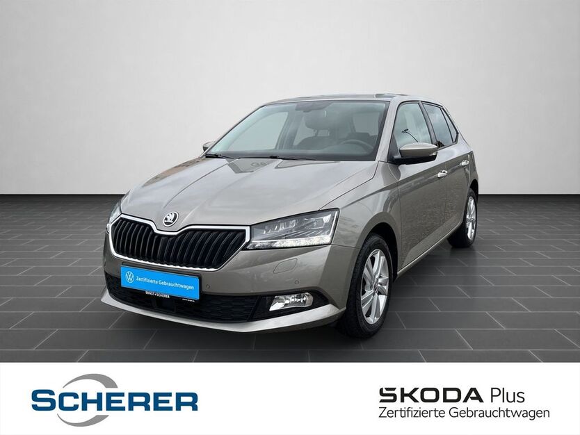Skoda Fabia 88.300 km 13.680 € Mannheim 68167