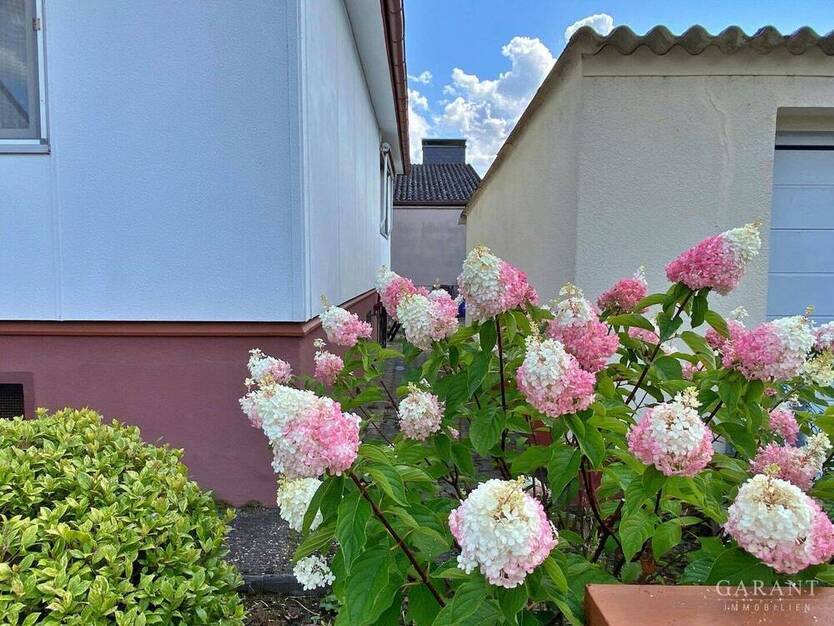Schönes freistehendes Haus mit großem Garten