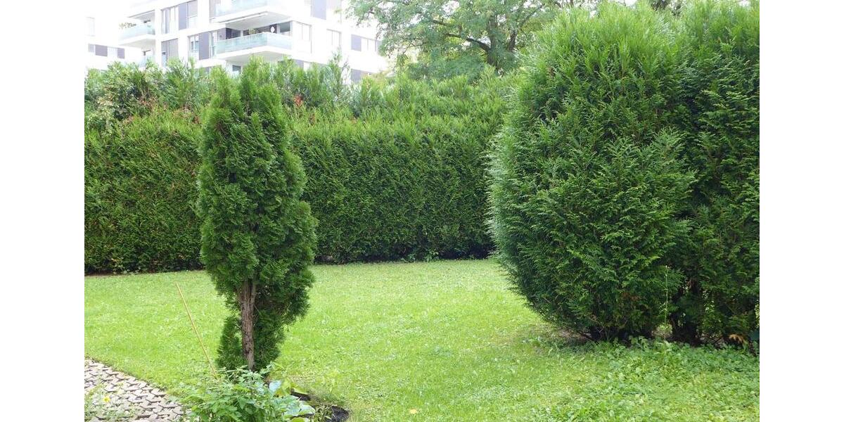 Loft - Studio - Atelier Mannheim Niederfeld - 1 Zimmer, 38 m&sup2;, 670&euro; | Angebot:26310120