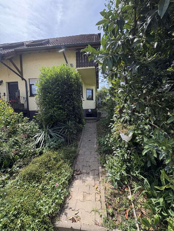 Wohnung zum Mieten in Dossenheim 335 € 22.17 m²