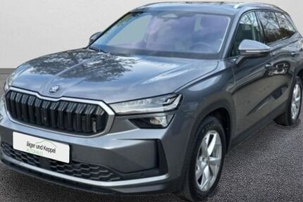 Skoda Kodiaq 23.000 km 39.900 &euro; Speyer 67346