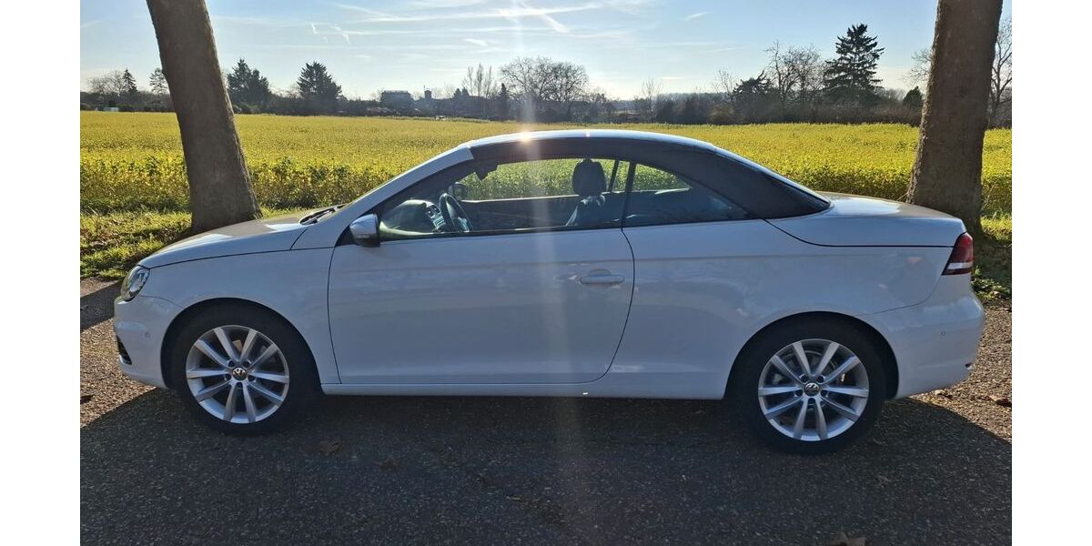 VW Eos 190.000 km 6.000 &euro; Mannheim 68219