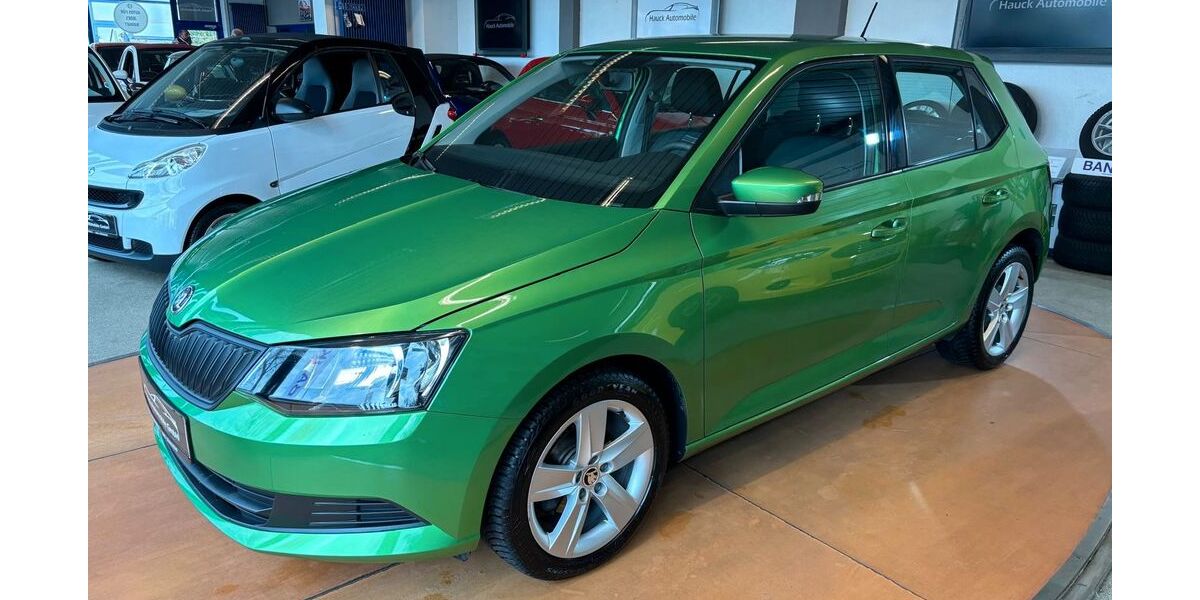 Skoda Fabia 70.700 km 8.790 &euro; Bad Dürkheim 67098