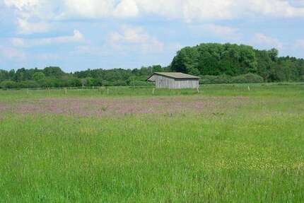 Grundstück Wald-Michelbach OT Ober Schönmattenwag Ober Schönmattenwag - 140.000&euro; | Angebot:26173256