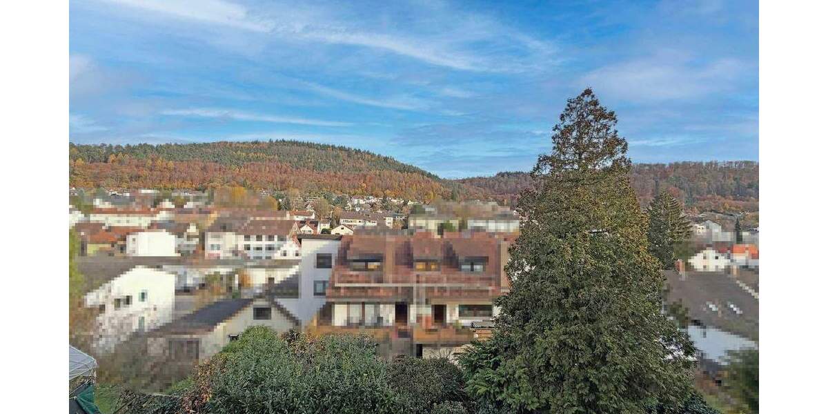 Neckargemünd: Attraktive, großzügige DHH in gesuchter Lage mit Garten und tollem Ausblick 5 zimmer
