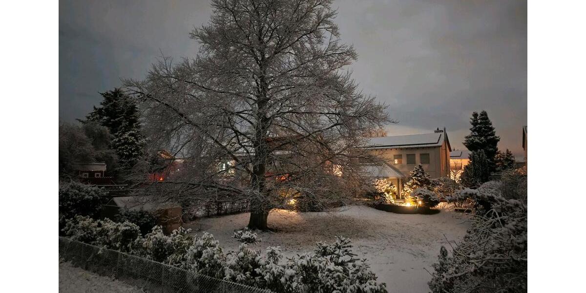 Einfamilienhaus Lampertheim - 3 Zimmer, 150 m&sup2;, 1.000.000&euro; | Angebot:25118113