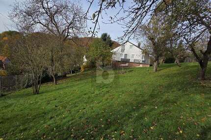 Grundstück Wald-Michelbach Michelbach - 65.000&euro; | Angebot:25203240