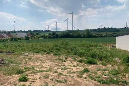 Grundstück zu verkaufen in Wachenheim 214.000 € 576 m²