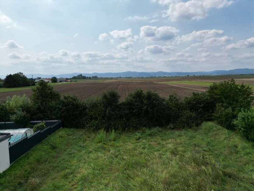 Grundstück zu verkaufen in Schauernheim 530.000 € 600 m²