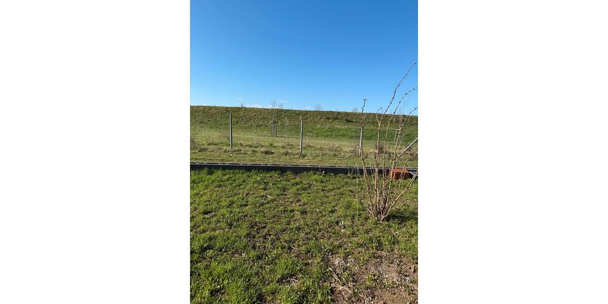 Etagenwohnung Worms - 1 Zimmer, 55 m&sup2;, 750&euro; | Angebot:25272699