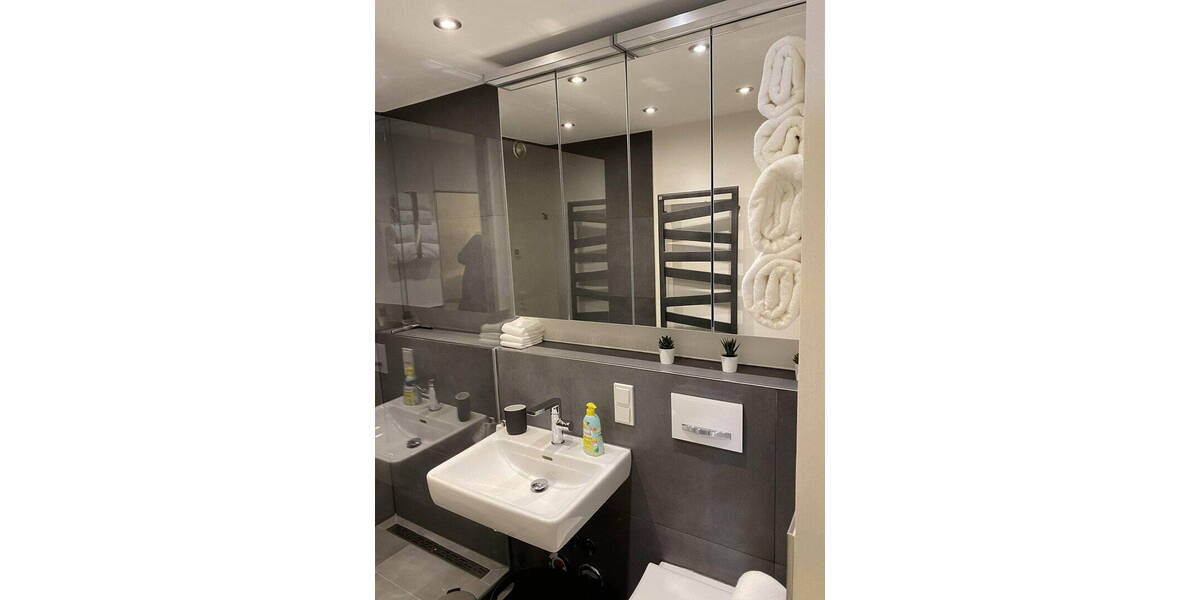 Terrassenwohnung Mannheim Neckarstadt - 1 Zimmer, 49 m&sup2;, 1.050&euro; | Angebot:26200085