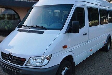 Mercedes-Benz Sprinter 135.900 km 19.000 &euro; Eisenberg 67304